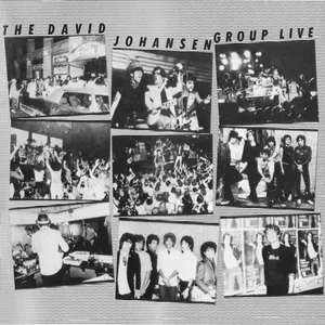 The David Johansen group live